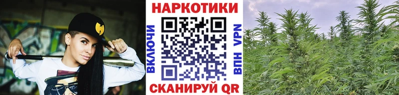 Купить закладку Марихуана  Мефедрон  Амфетамин  ГАШ  Alpha-PVP  Боготол