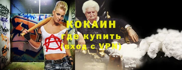 гашик Пересвет